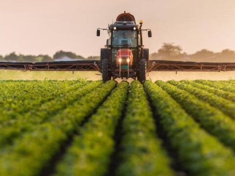 Savaşın Tarım Sektörüne Etkileri: Çiftçilerden Acil Çözüm Talebi